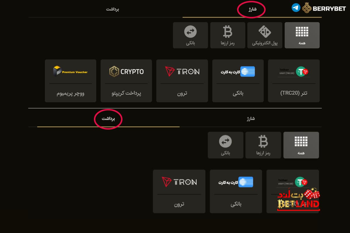 روشهای واریز و برداشت جوایز در بری بت