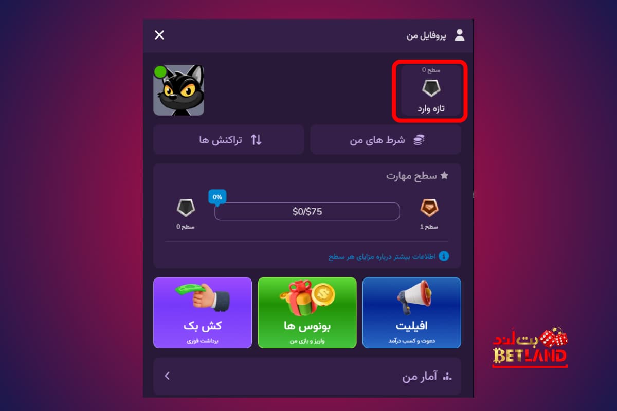 بخش VIP سایت شاه بت