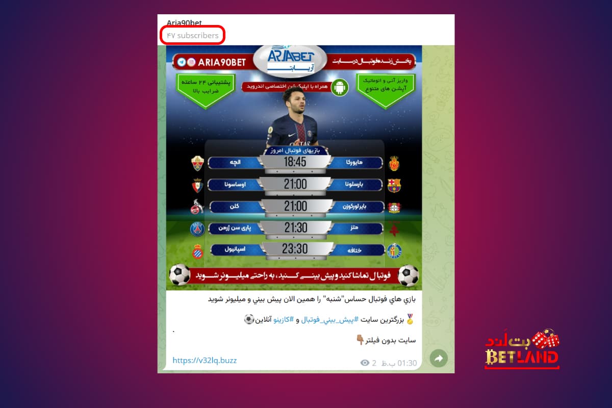 بررسی سوشال مدیای آریا بت